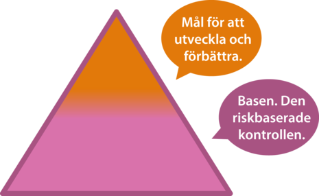 Målen utöver dem riskbaserade kontrollen.