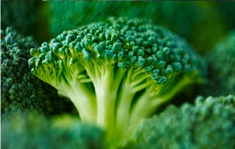 Broccoli